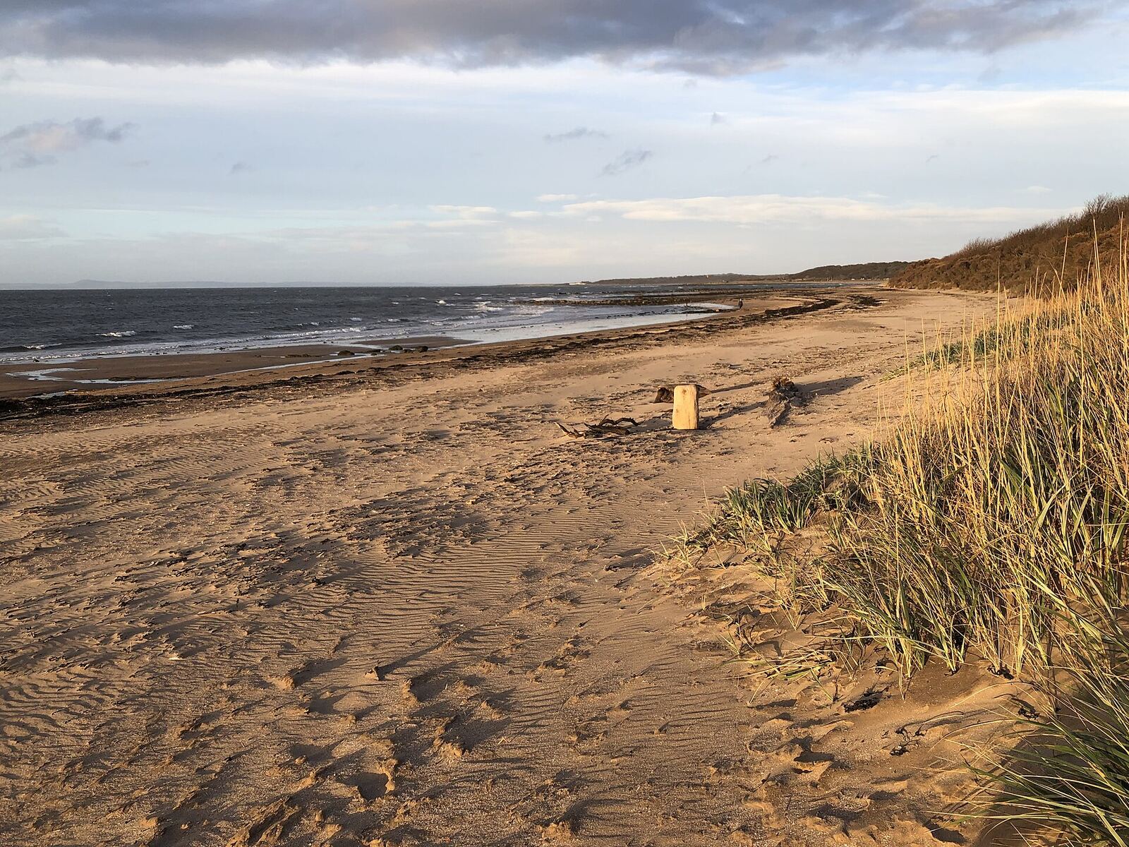 Seton Sands beach at low sun with dunes and the Firth of Forth